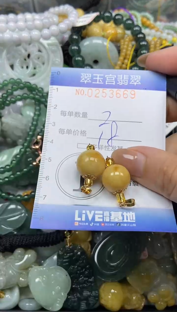颈饰未镶嵌翡翠闪购C0253669