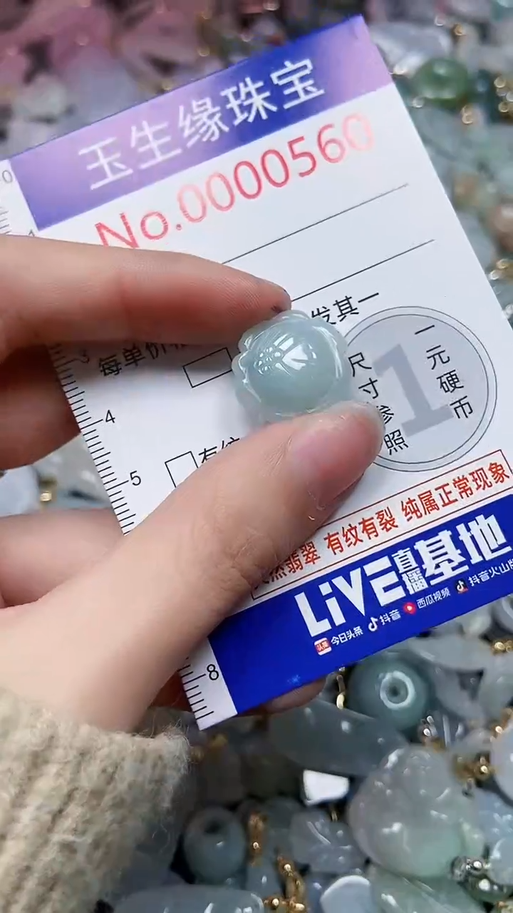 【闪购商品】翡翠颈饰未镶嵌闪购00000560