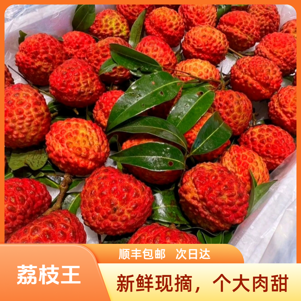 L2【顺丰包邮】海南火山奶香荔枝王  应季新鲜水果 香甜肉厚汁水多 2斤装荔枝同城送