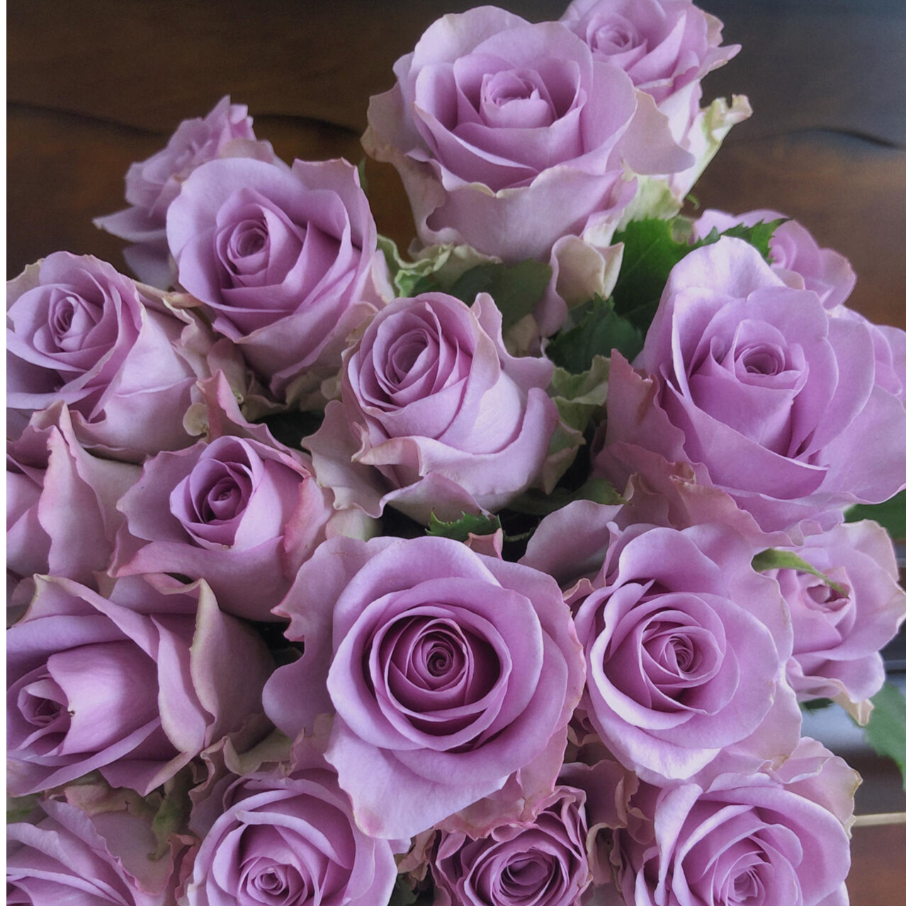 明日达【 18支 紫霞仙子 】今日下单明日到达（两单顺丰包邮）