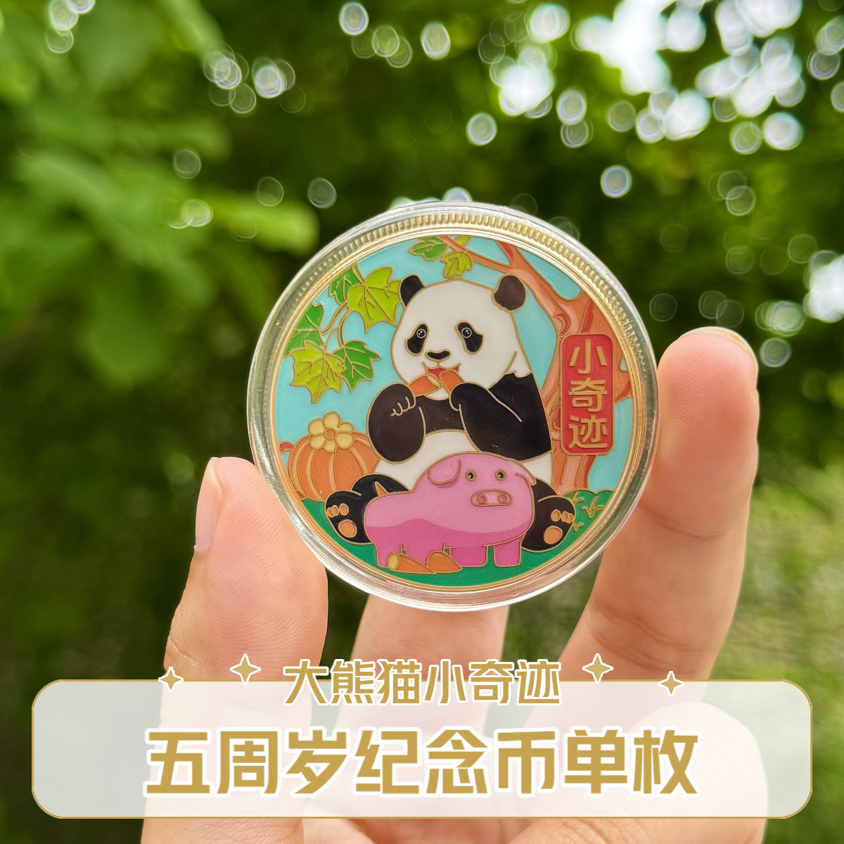 【卧龙中华大熊猫苑】大熊猫小奇迹五周岁单枚纪念币（已校对版）