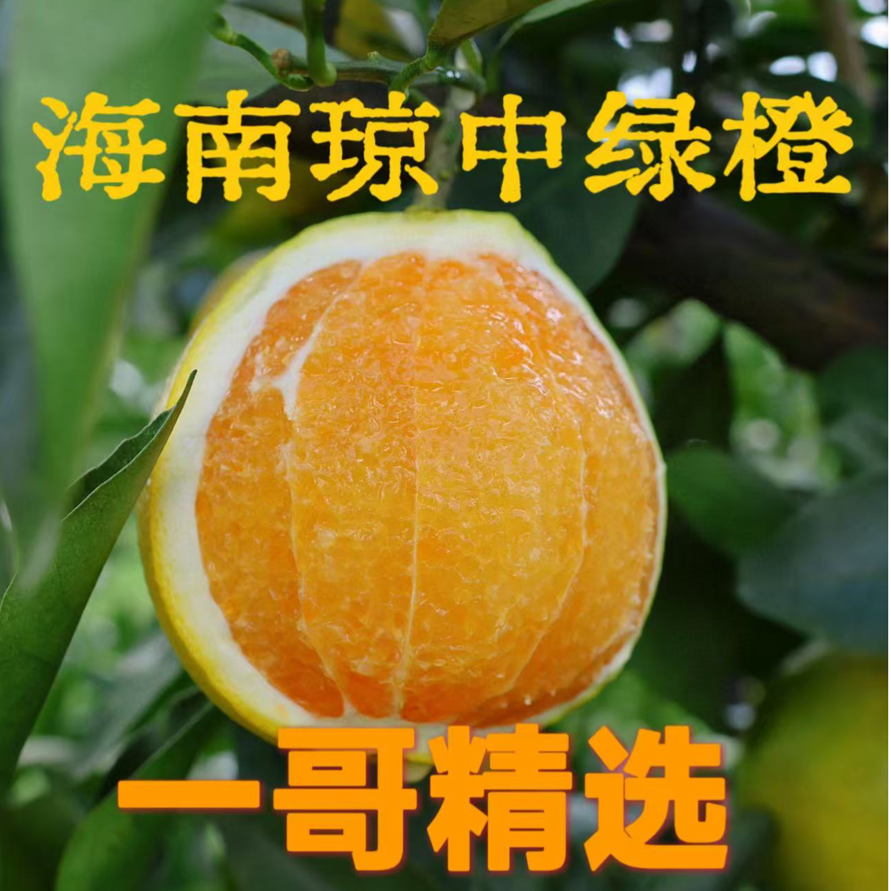 【顺丰送货上门】海南琼中绿橙新鲜清甜多汁饱满三亚鲜果