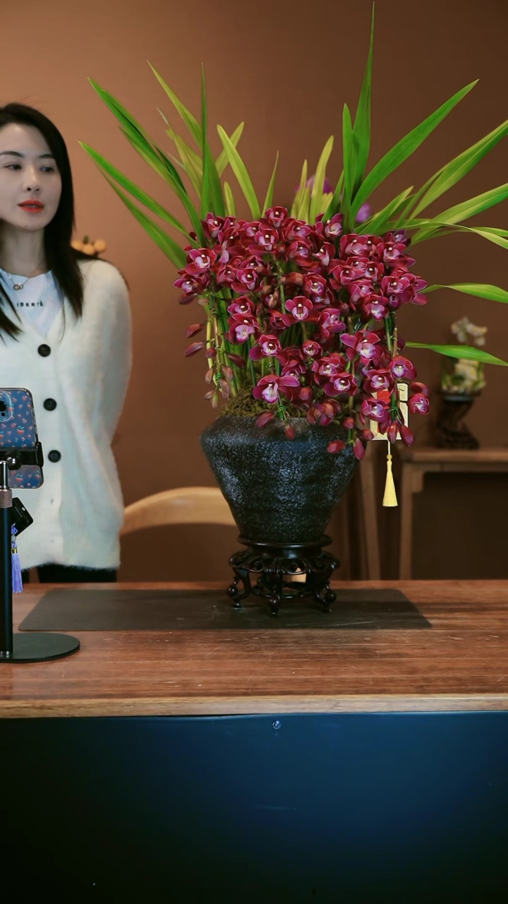 【闪购商品】盆景紫葡萄 黑