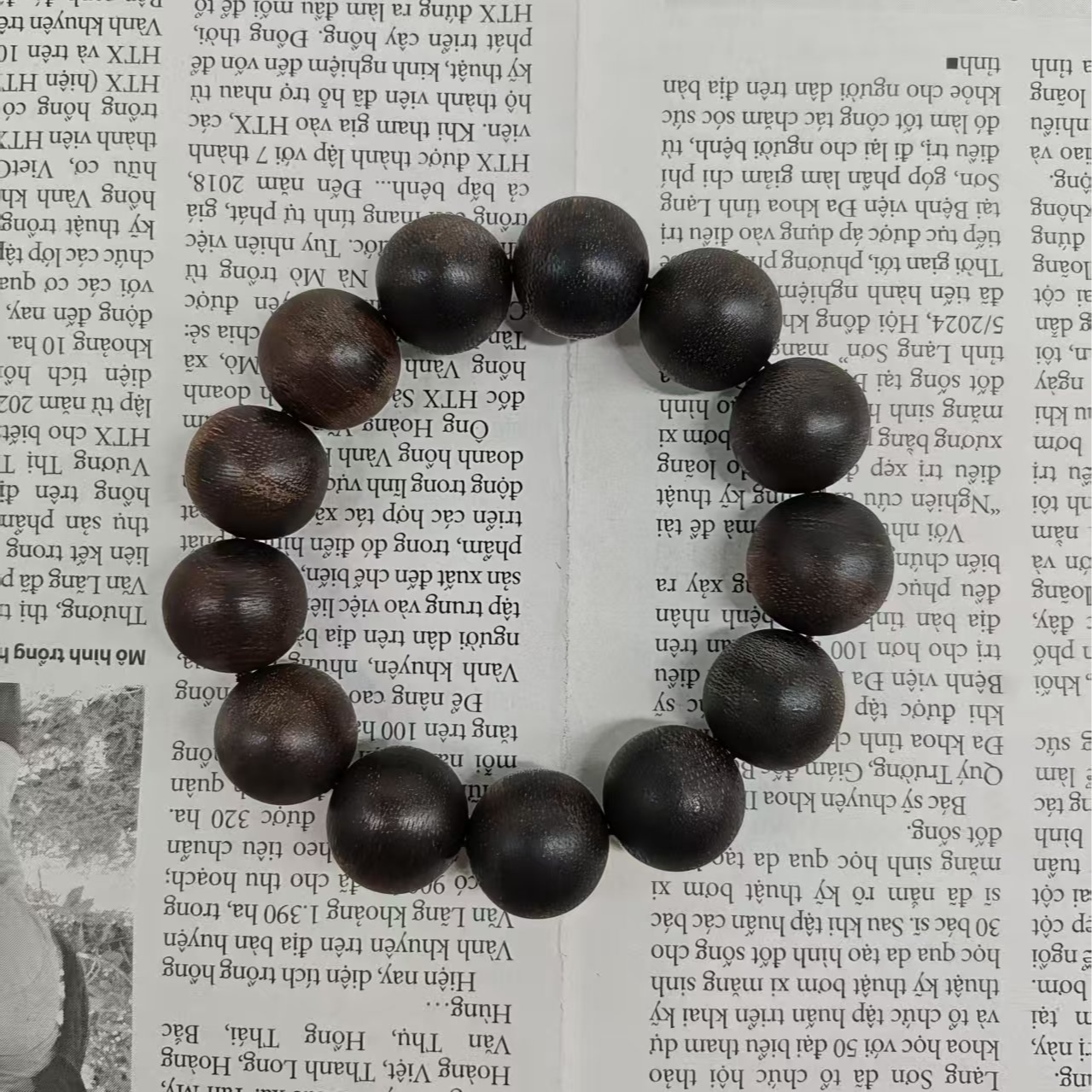 JXK-SP26-K06都蓬玉化红土沉香单圈手串（多样性发货）