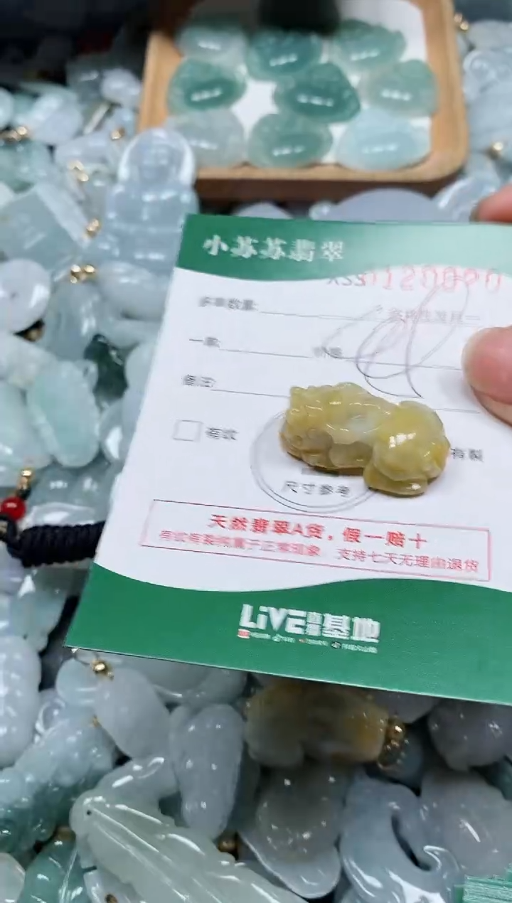 【闪购商品】翡翠颈饰未镶嵌闪购商品0120020