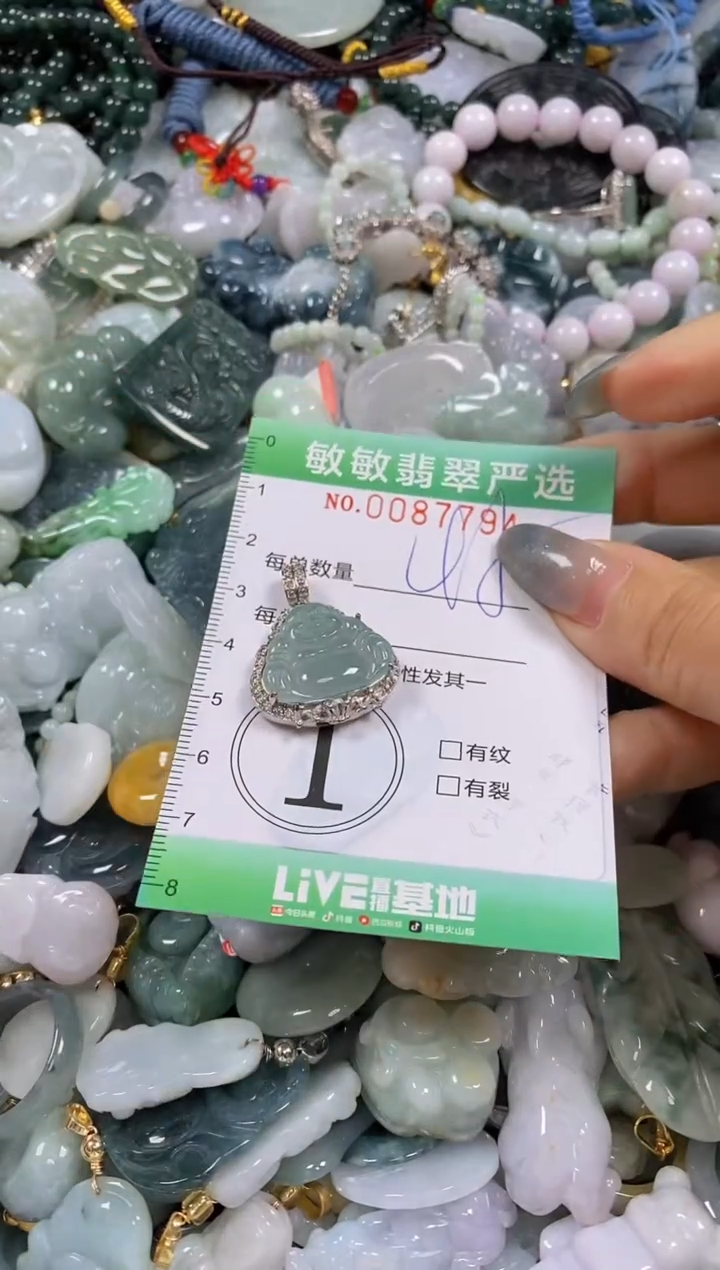 【闪购商品】翡翠颈饰未镶嵌闪购0087794