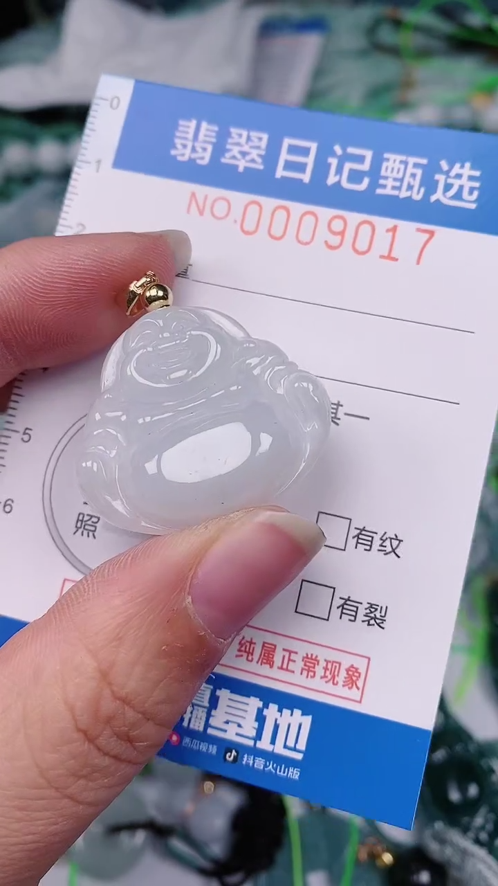 【闪购商品】翡翠颈饰未镶嵌00009017