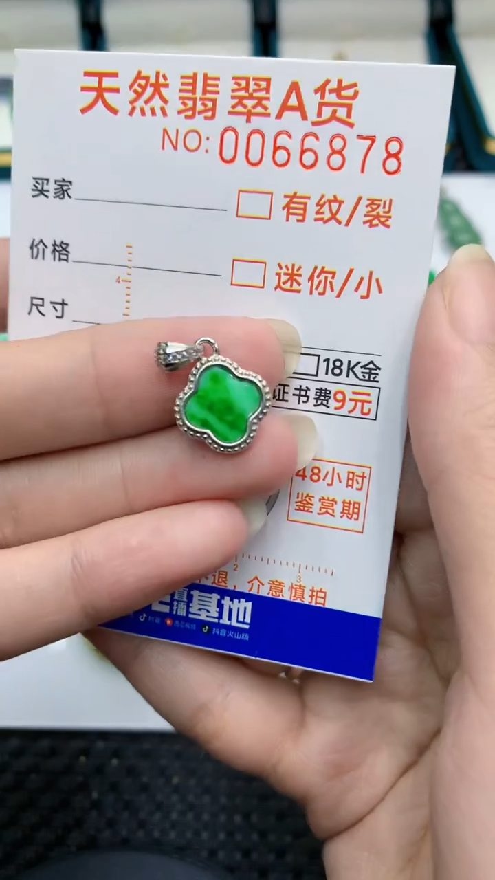 【闪购商品】翡翠颈饰银S925镶嵌            8