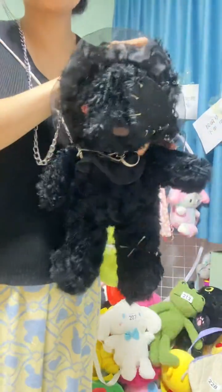 聚酯纤维（涤纶）黑色洛丽塔熊