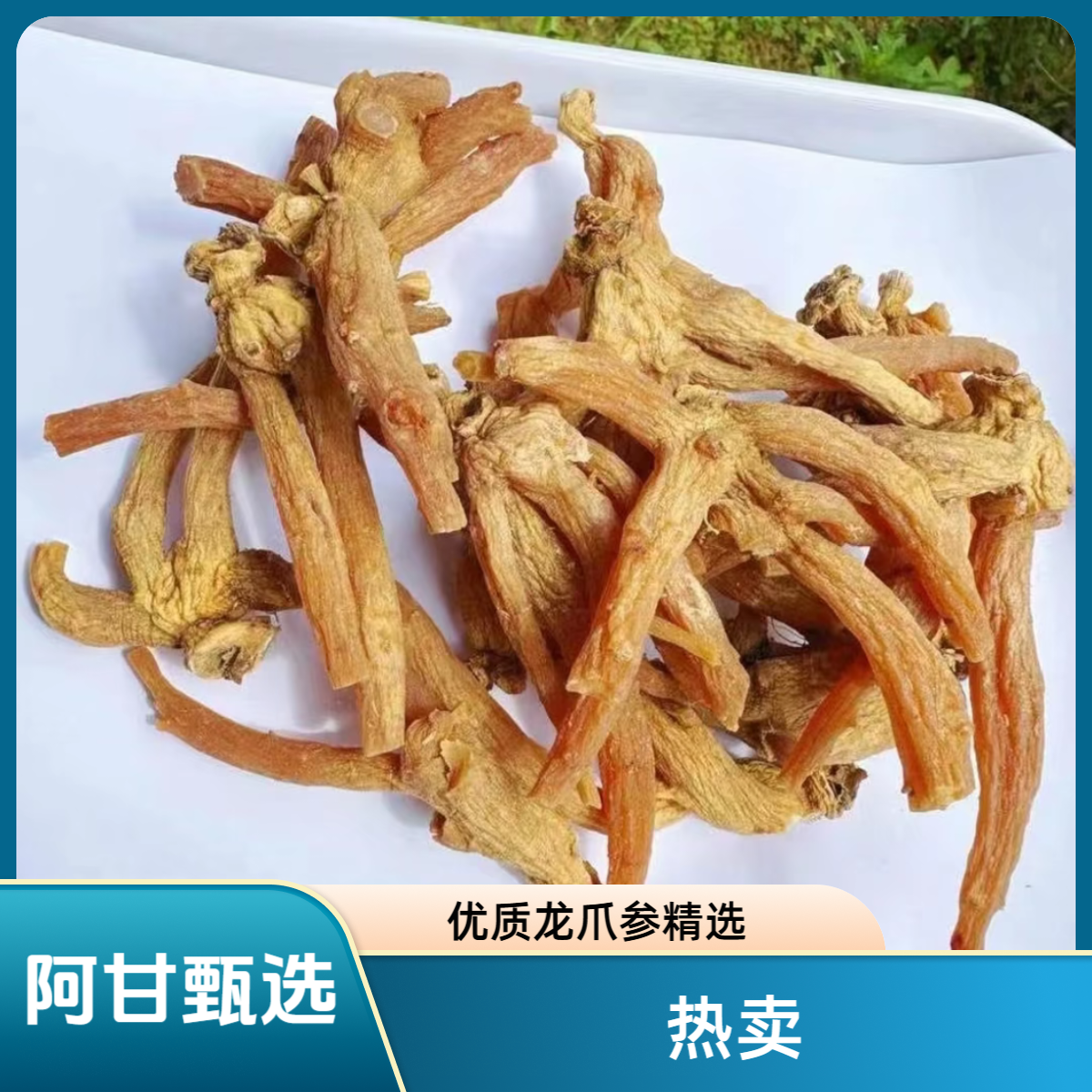 【阿甘甄选】现收土特产 龙爪参 净含量：250-500g 可搭配枸杞