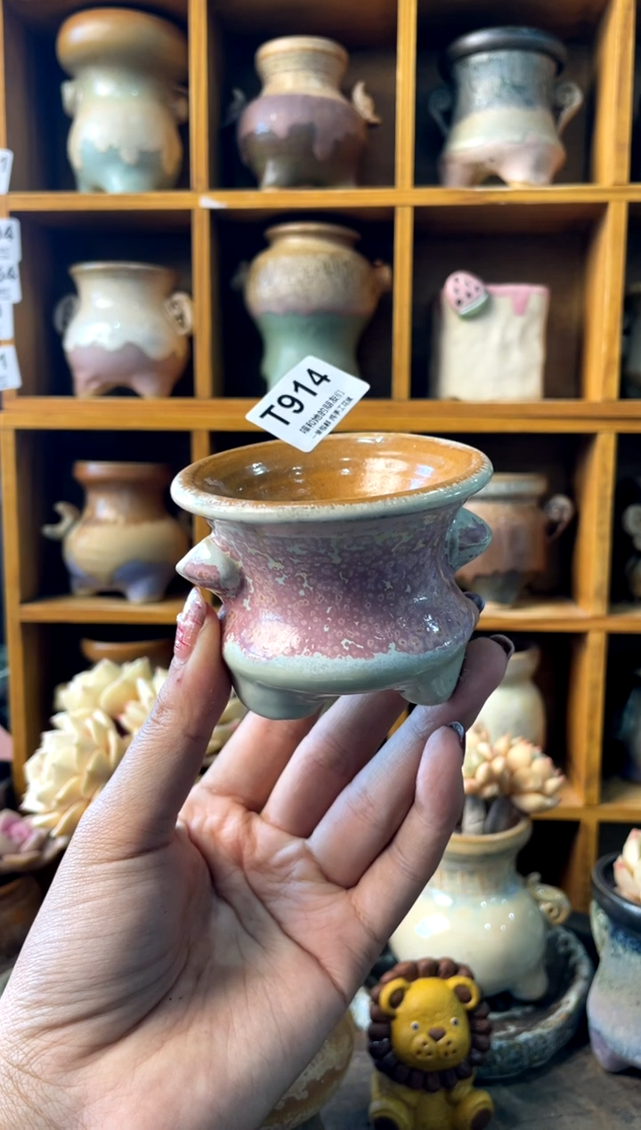 樾914【多肉花盆多肉盆】1