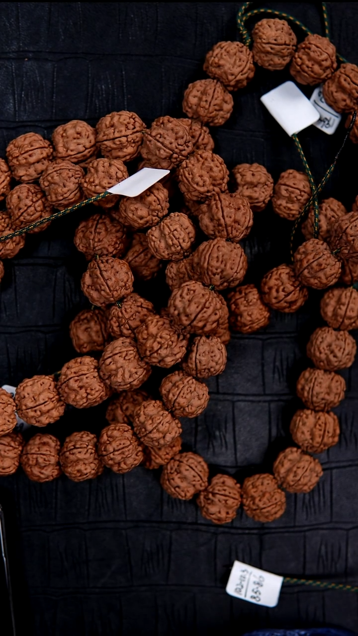 手串金刚菩提19帝王花