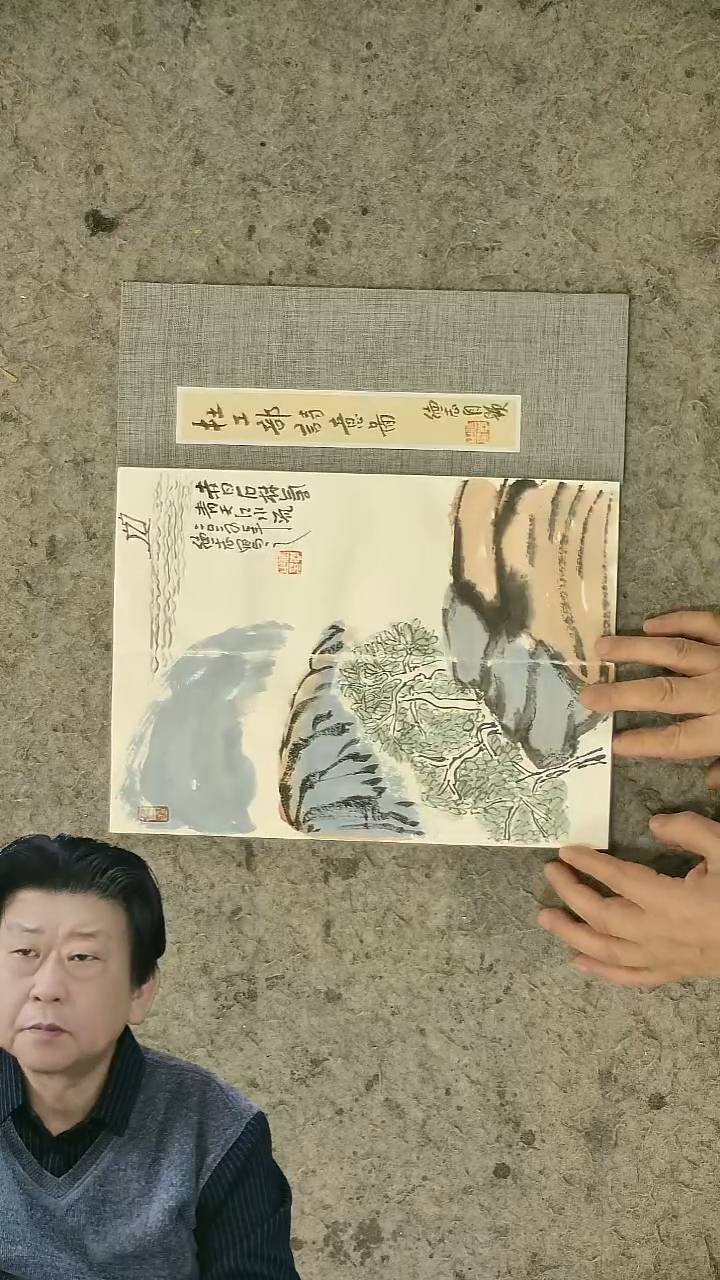 国画12*32cm  12页    温德志老师禅意小品册页