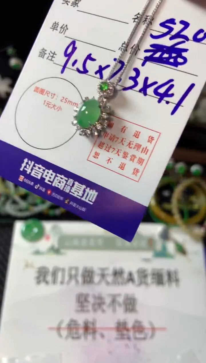 【闪购商品】翡翠颈饰银S925镶嵌翡翠