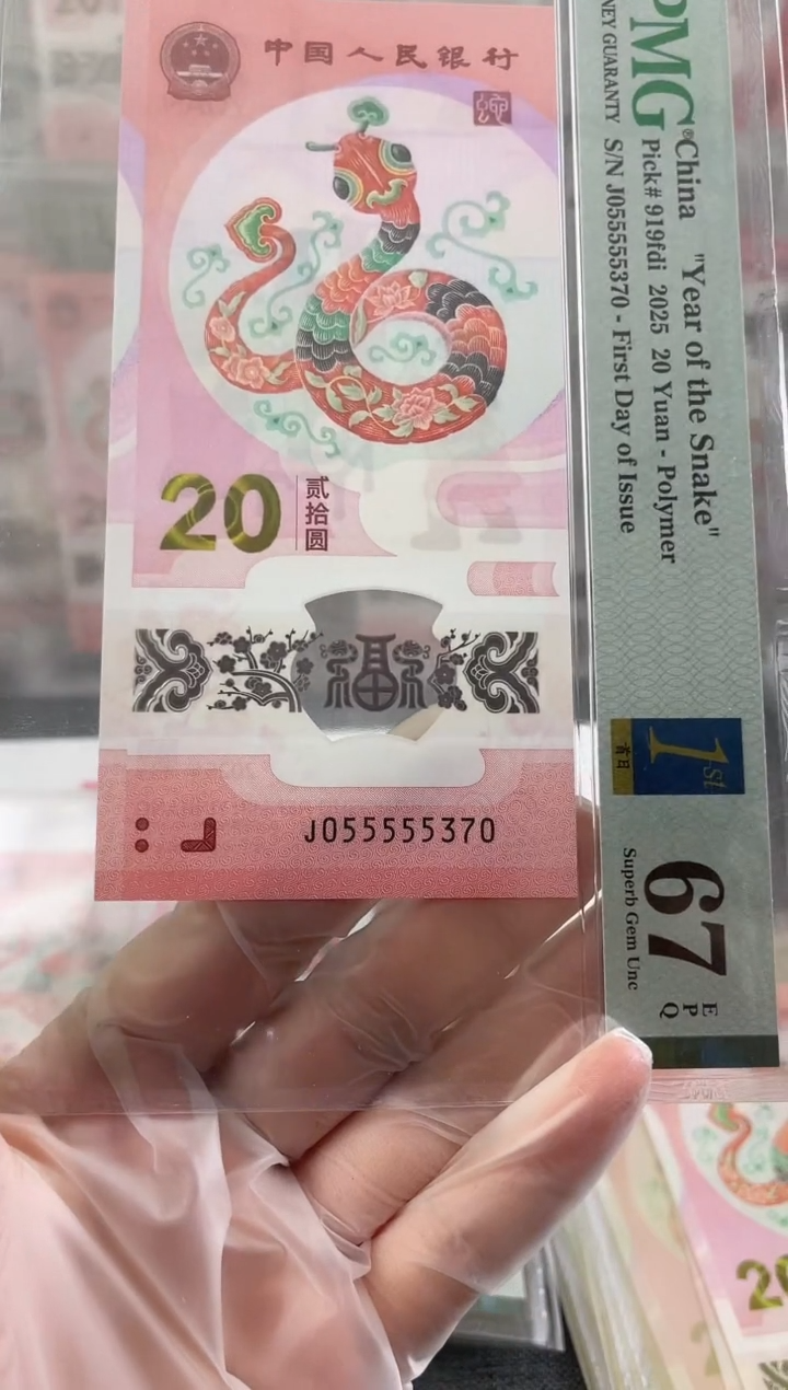 【闪购商品】塑料PMG蛇钞5个5头尾370