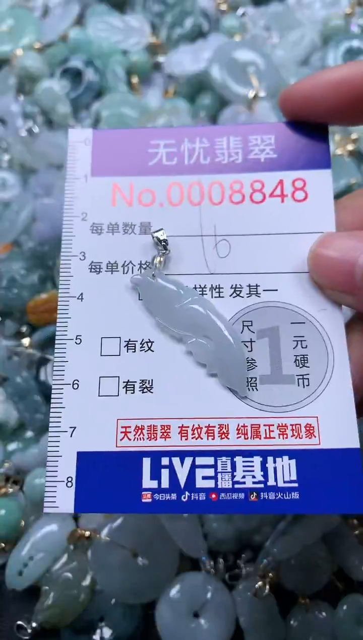 颈饰未镶嵌翡翠8848