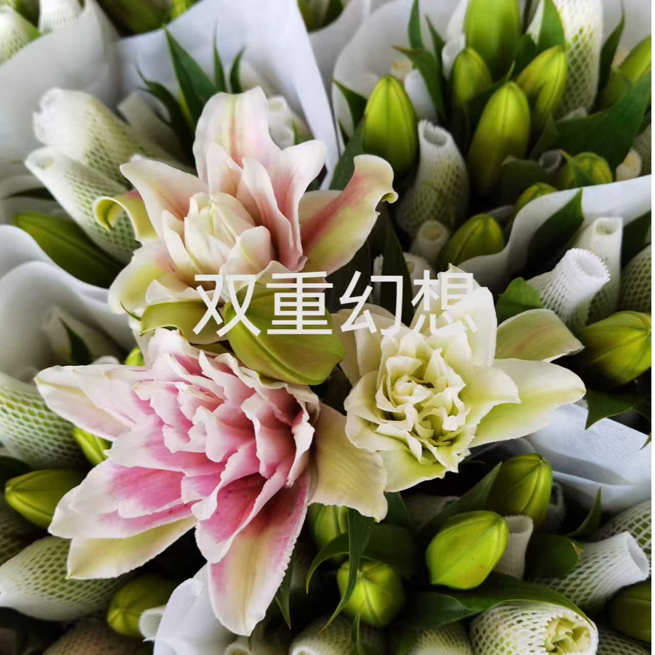 YZ【双重幻想重瓣百合】全场任意满两单鲜花升级快递