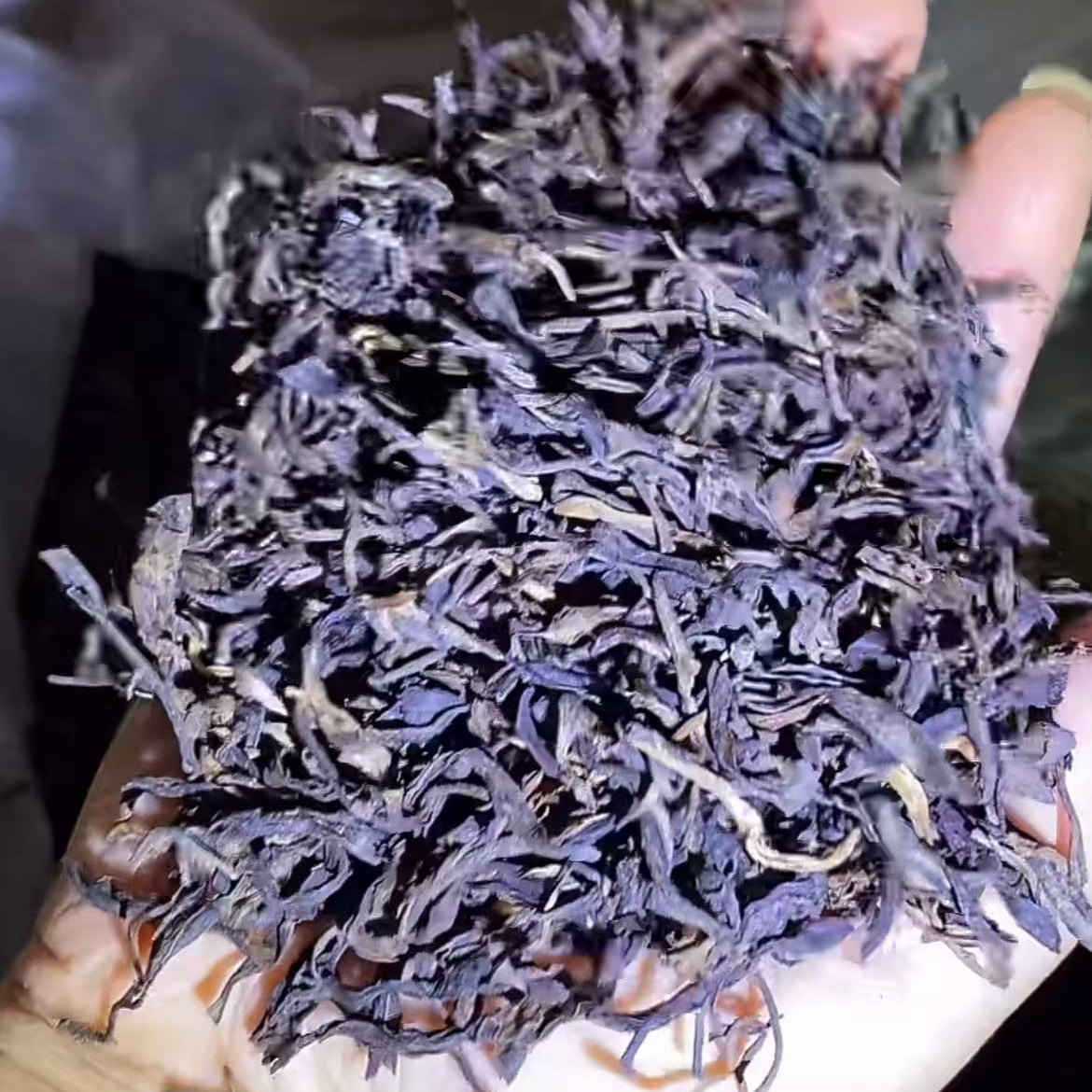 2000年 南春老生茶 散料 500克/份 普洱茶