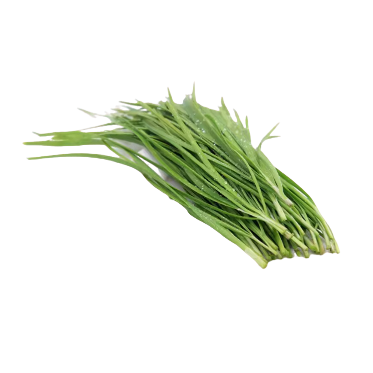 新鲜山东韭菜  1斤左右 