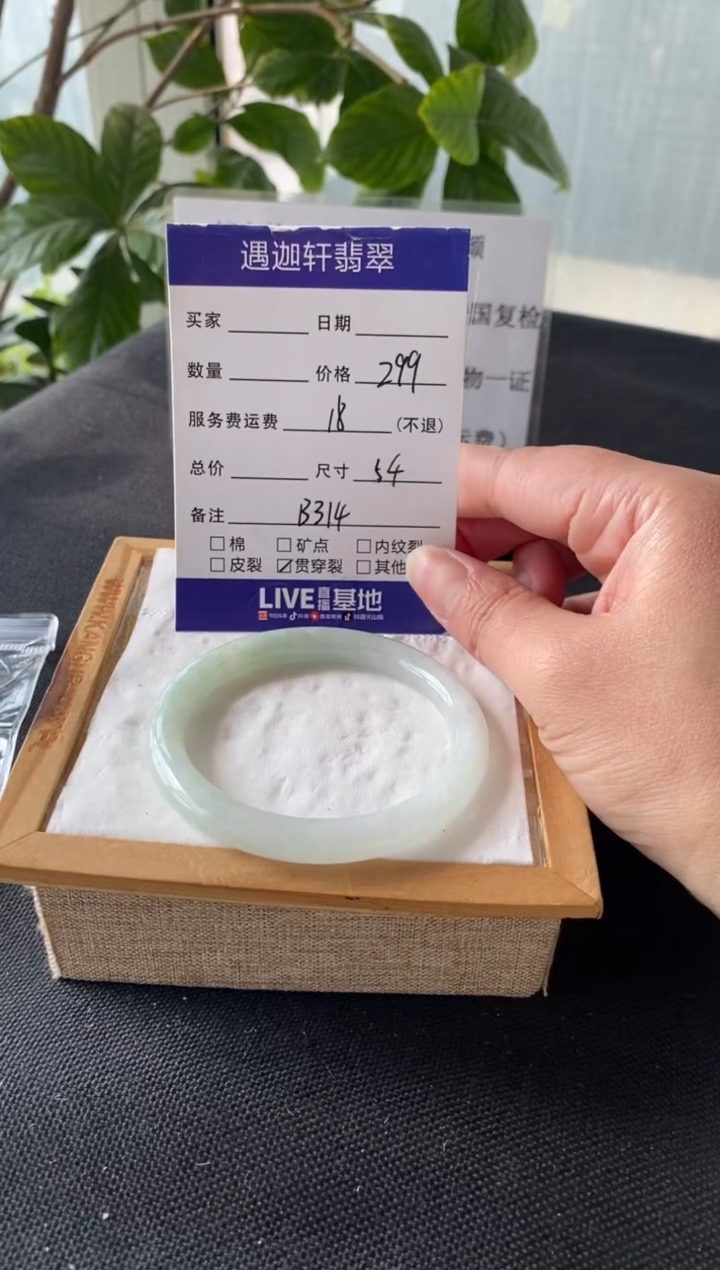 【闪购商品】翡翠手镯未镶嵌54圈口 B314编码