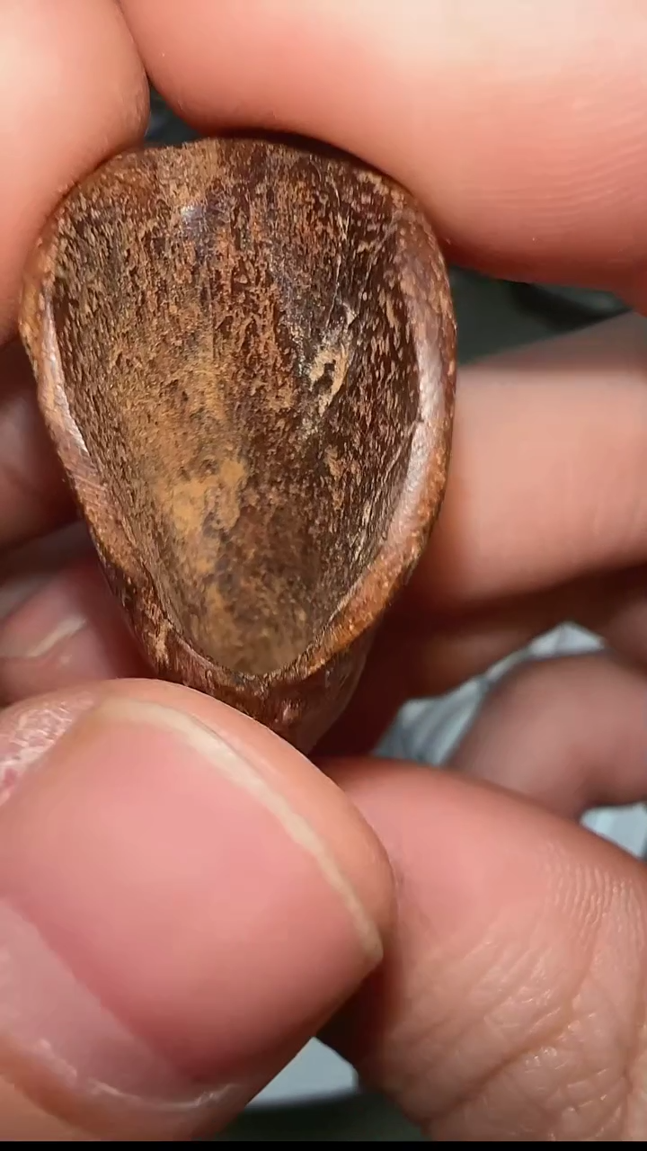 【闪购商品】沉香1.76g柬埔寨沉水原料