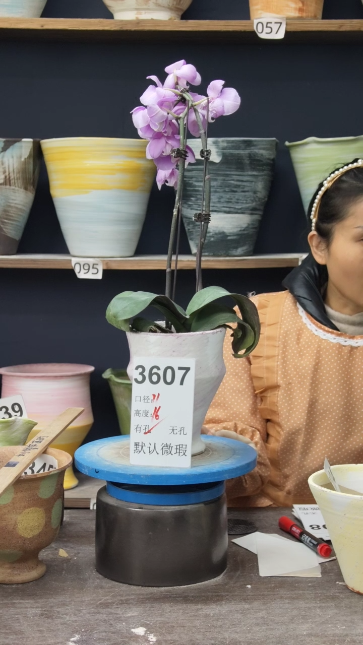 景德镇花盆默认微瑕3607