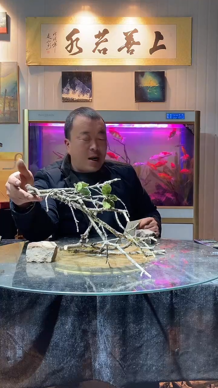 134号天然黄梨枝一组