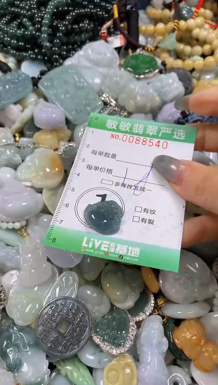 【闪购商品】翡翠颈饰未镶嵌闪购0088540