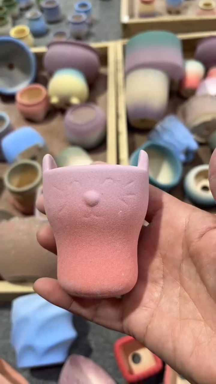 【闪购商品】红陶5*6