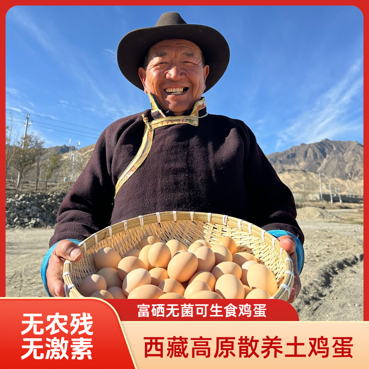 【50枚】西藏新鲜散养土鸡蛋富硒可生食鸡蛋正宗无菌无抗无激素鸡蛋