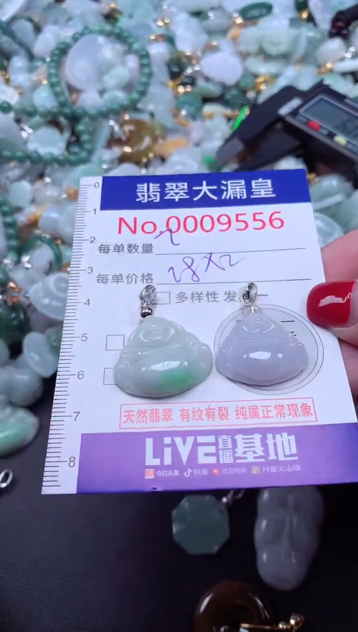 颈饰未镶嵌翡翠9555