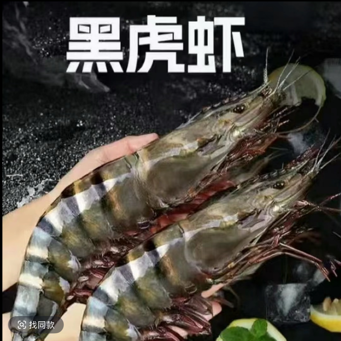 大号2030规格海捕黑虎虾活虾速冻1500g
