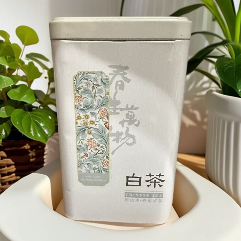 安吉白茶一两品鉴装
