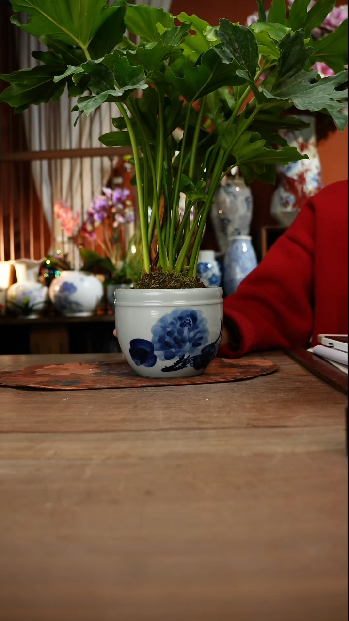 现代高温釉下彩手绘陶瓷餐具