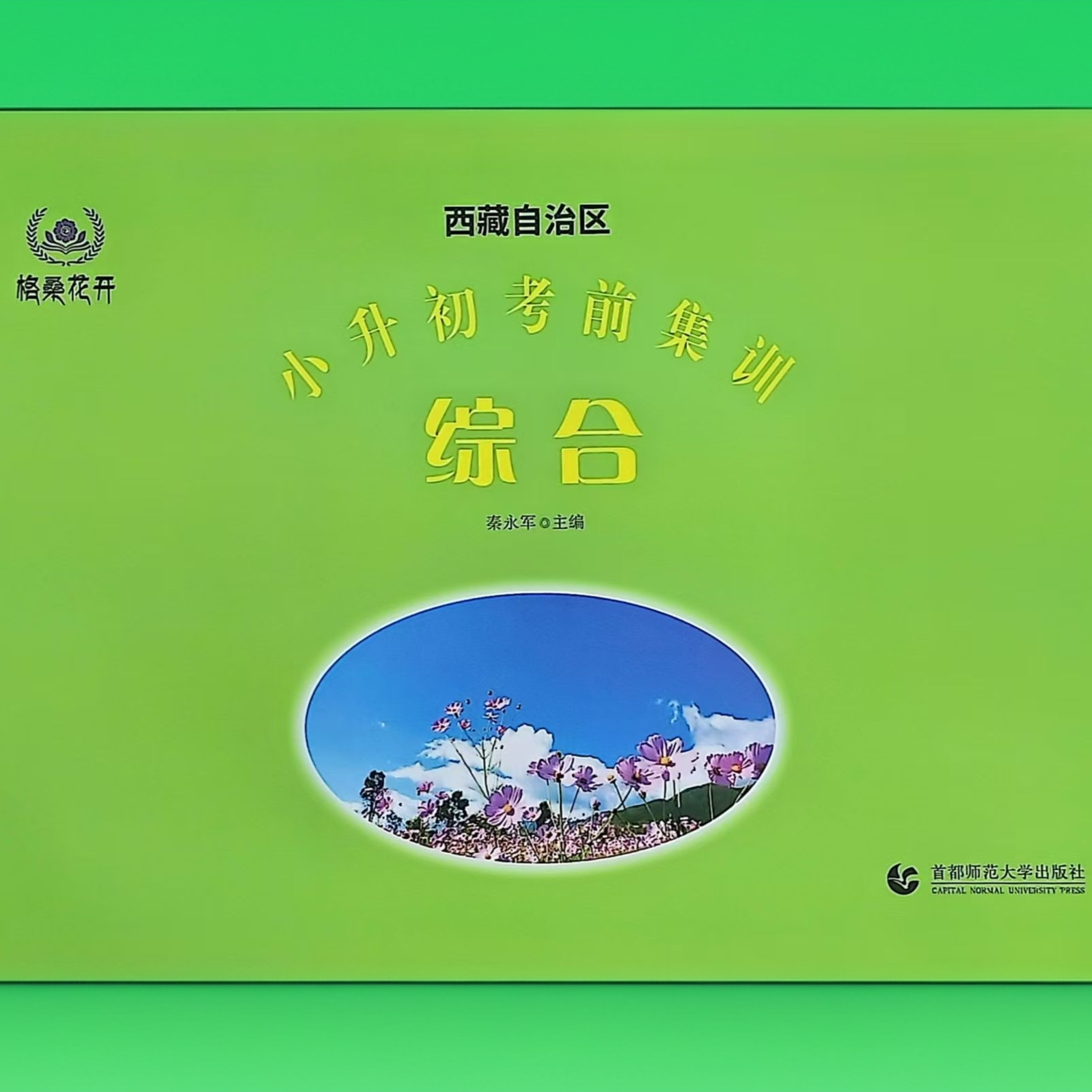 小升初考前集训综合（格桑花开）