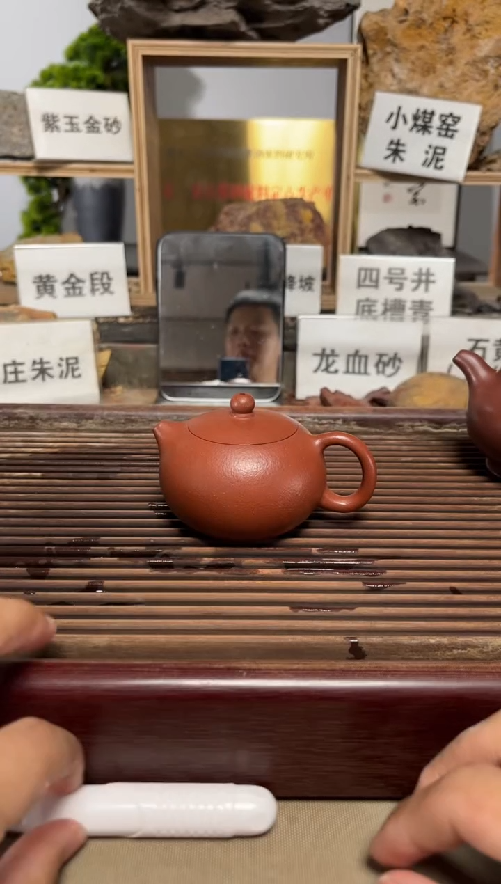 茶壶紫砂微瑕全手降坡西施