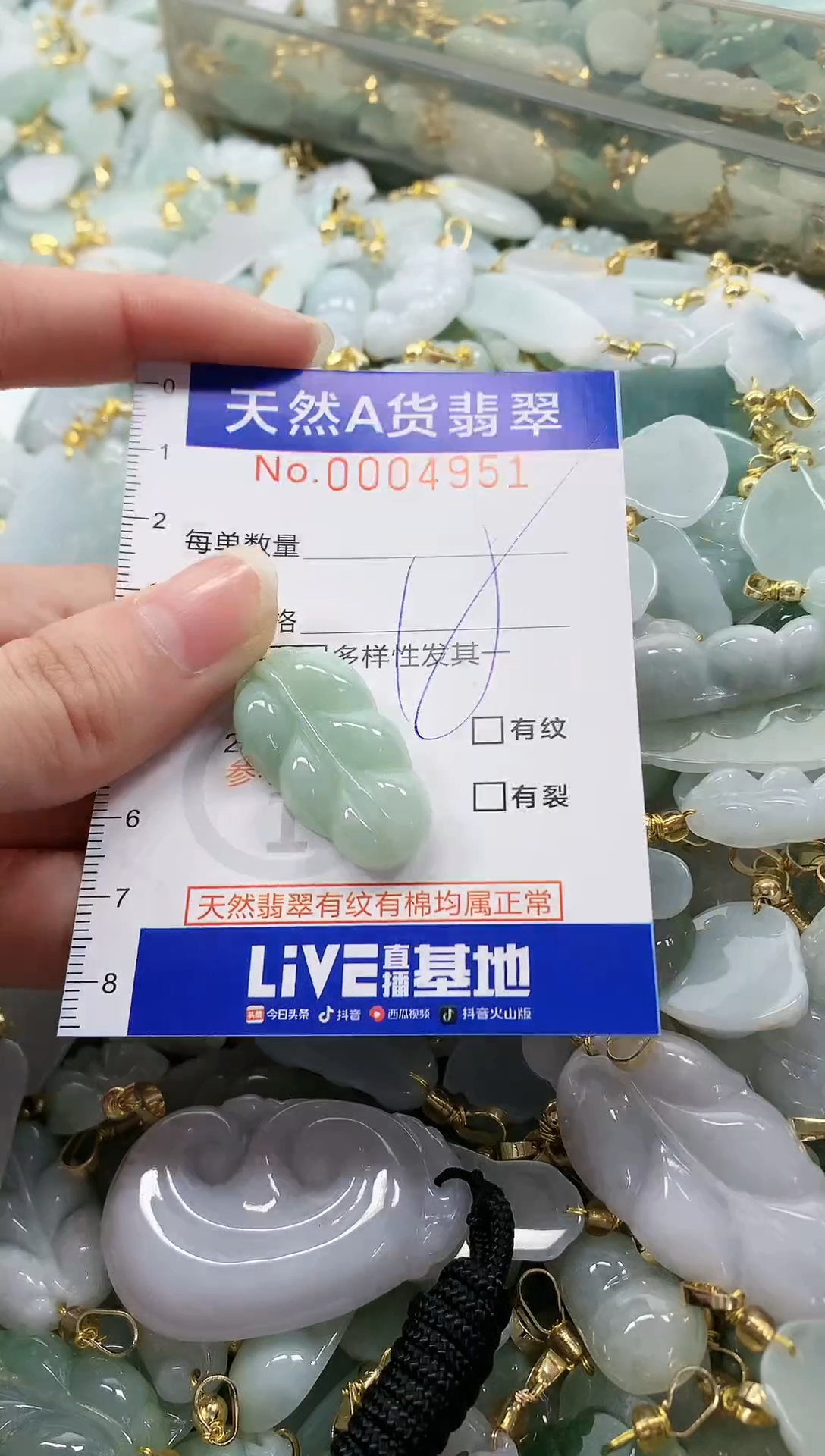 颈饰未镶嵌翡翠纯天然a货翡翠