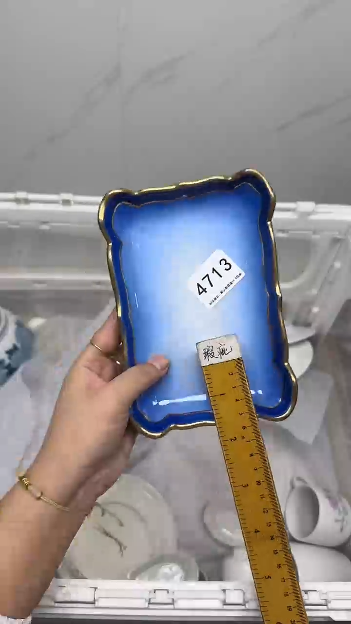 【闪购商品】4713回流瓷器默认微瑕，18.8包邮
