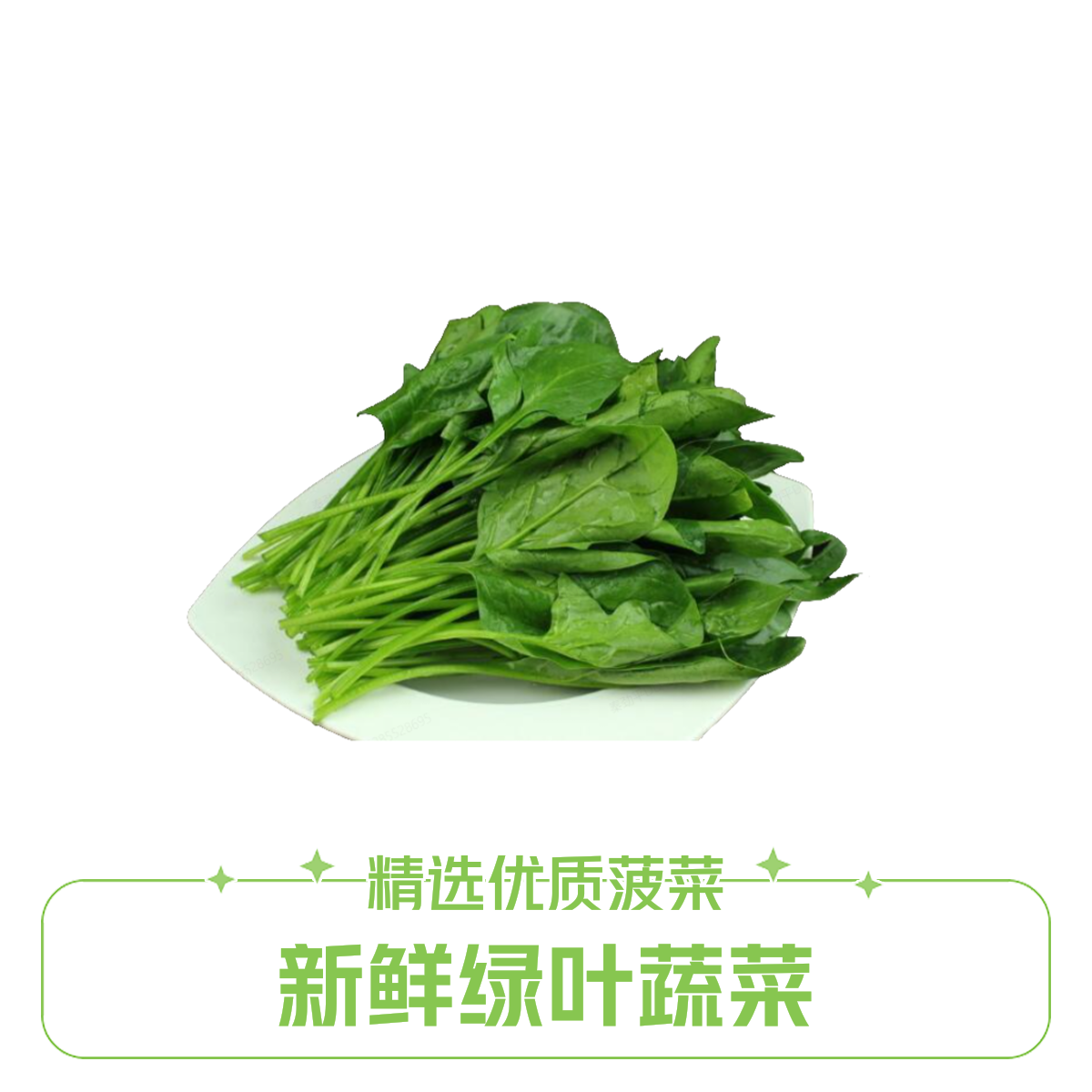 【营养模范生】新鲜菠菜 500g±20g菠菜