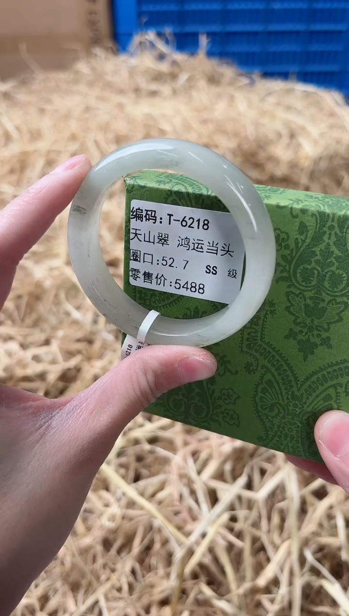 未镶嵌手镯石英质玉T-6218