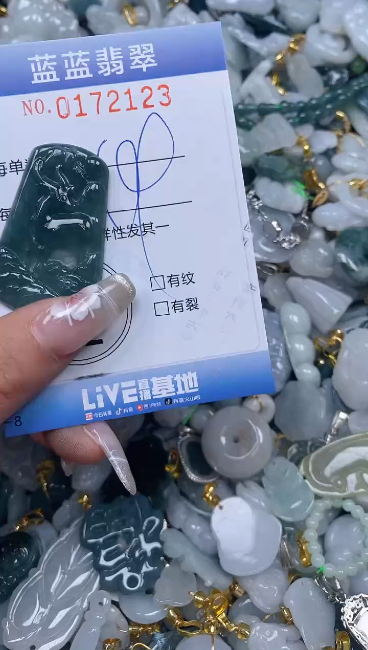 【闪购商品】翡翠颈饰未镶嵌闪购0172123