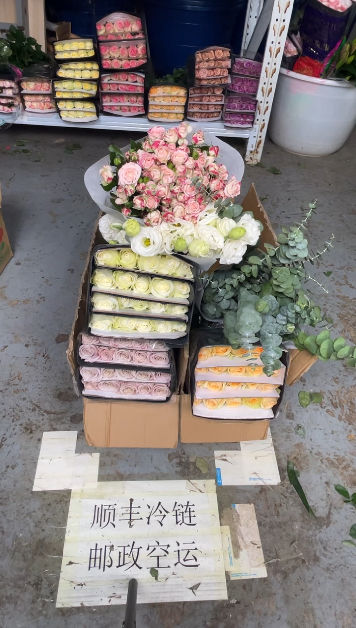 曼塔3扎+骄傲3扎+香槟1扎 +白桔梗800克+折射2扎+尤加利2扎