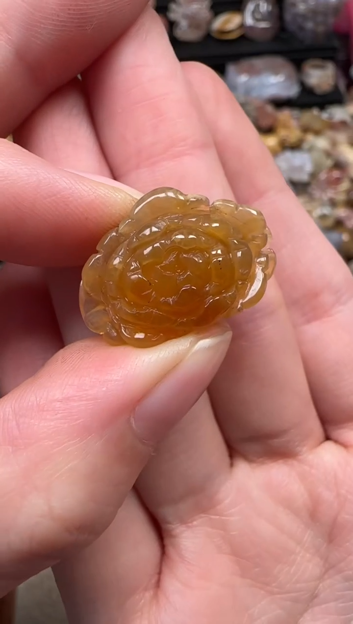 颈饰未镶嵌硅化珊瑚（珊瑚玉）711
