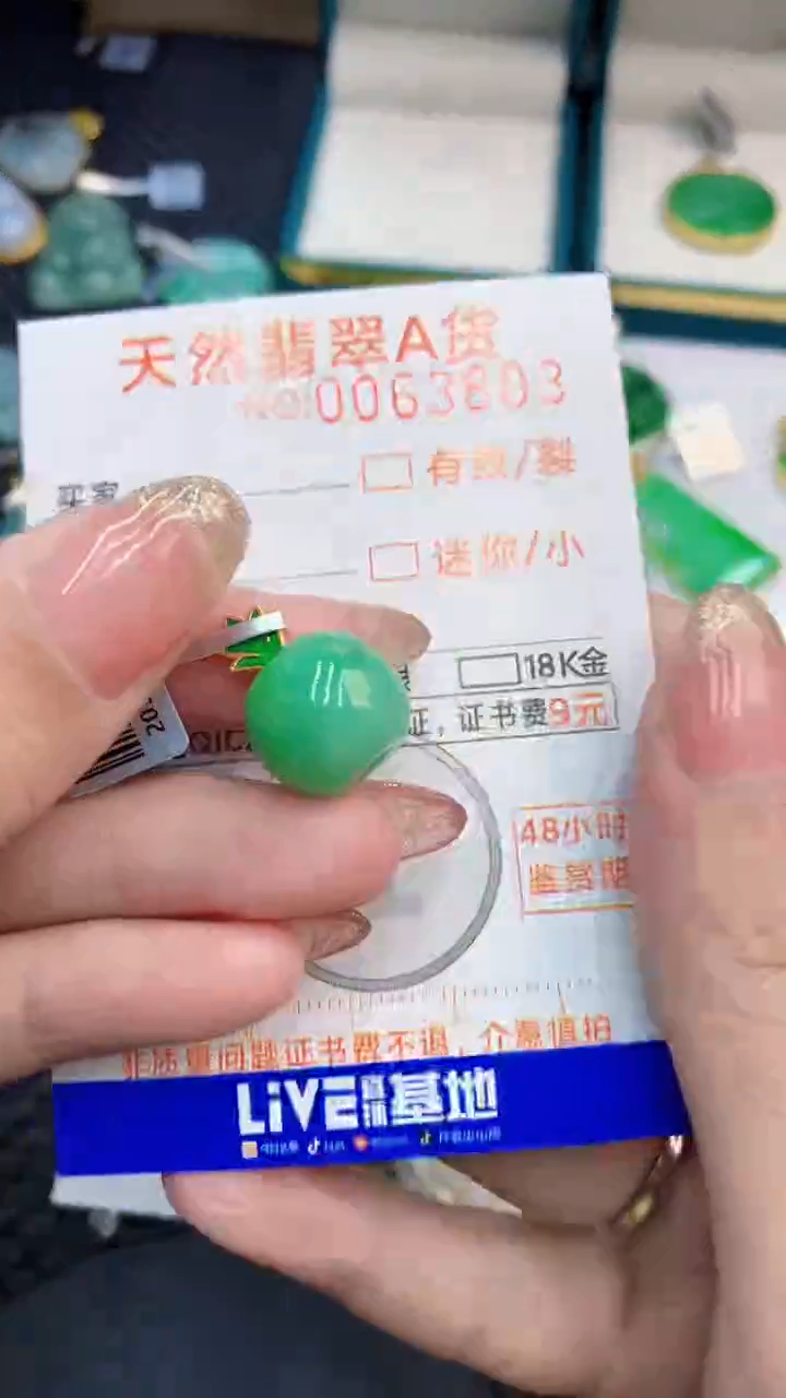 翡翠银S925镶嵌颈饰            8