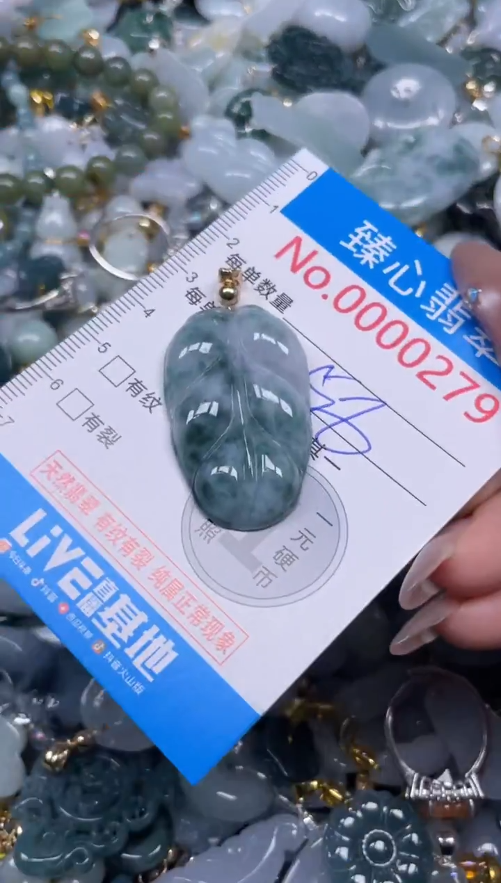 颈饰未镶嵌翡翠279