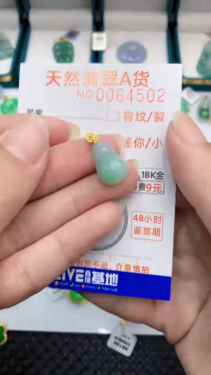 【闪购商品】翡翠颈饰18K金镶嵌            8