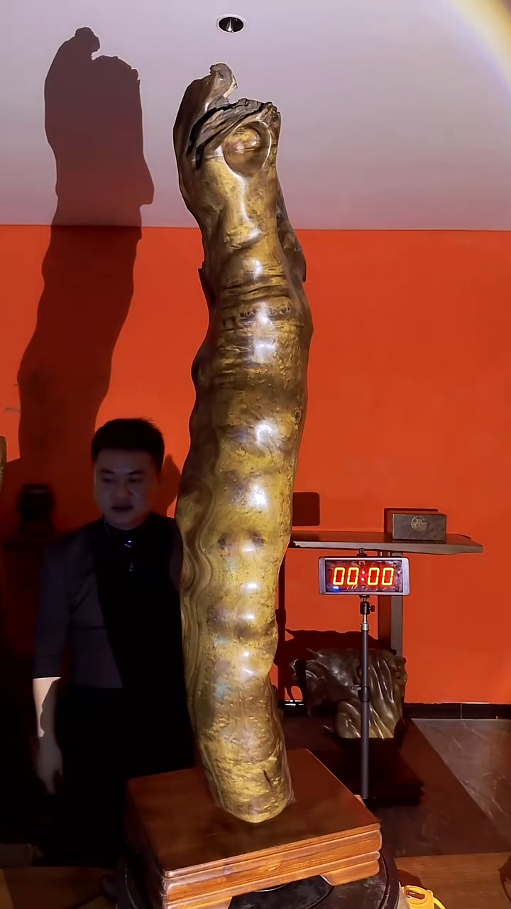 金丝楠江**长小叶桢楠金丝楠木