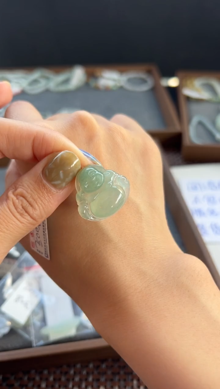 【闪购商品】翡翠颈饰未镶嵌698号