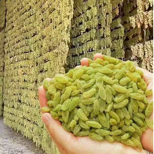 新疆正宗无籽绿宝石葡萄干