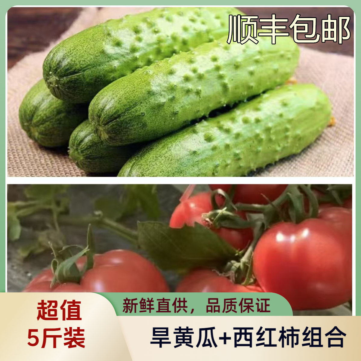 蔬菜组合【旱黄瓜3斤+西红柿2斤】共5斤（顺丰包邮）新鲜黄瓜同城送